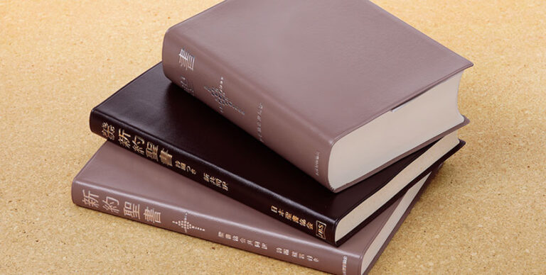 舊新約聖書 文語訳 1982年 革装三方金 日本聖書協会 JL69S - 本